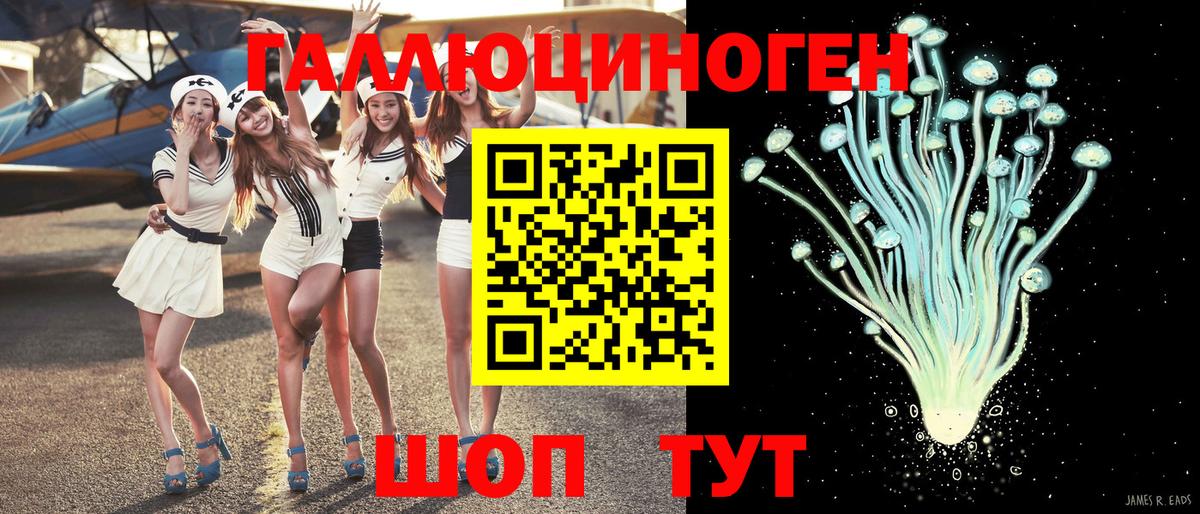 Галлюциногенные грибы Psilocybe  Вход с VPN  Псилоцибиновые грибы мицелий  Ярославль 
