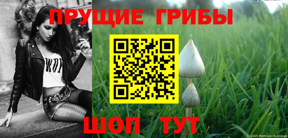 Псилоцибиновые грибы прущие грибы Ярославль